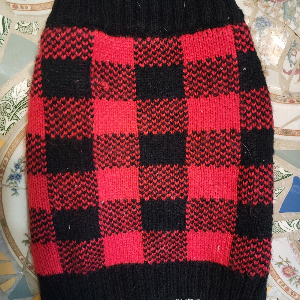 Small dog vest